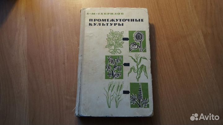 А. М. Гаврилов. Промежуточные культуры. Выращивани