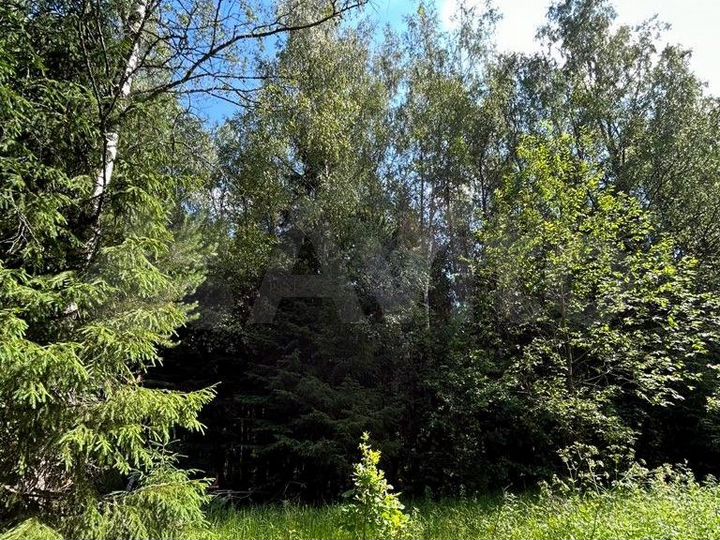 Участок 8,1 сот. (ИЖС)
