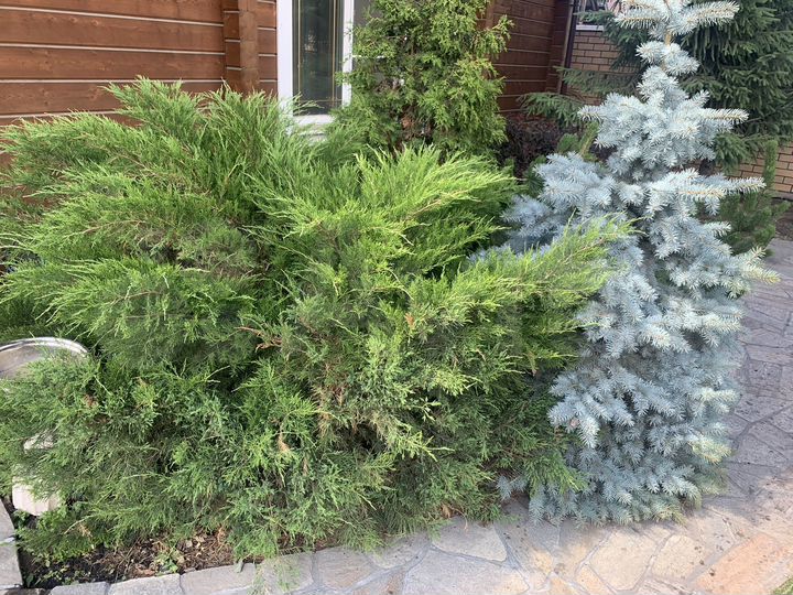 Коттедж 110 м² на участке 9 сот.