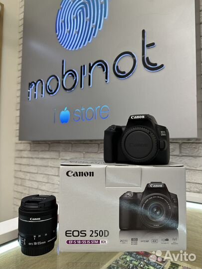 Canon EOS 250D Kit EF-S 18-55mm IS STM