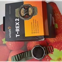 Amazfit t rex 2