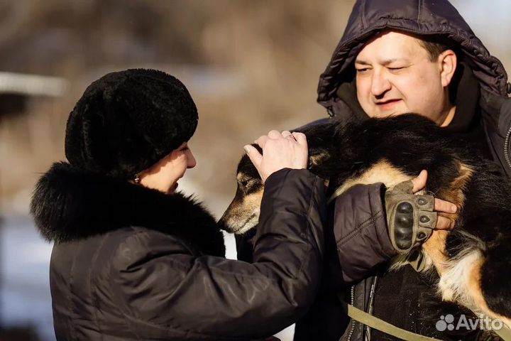 Ищем доброго партнера в нко