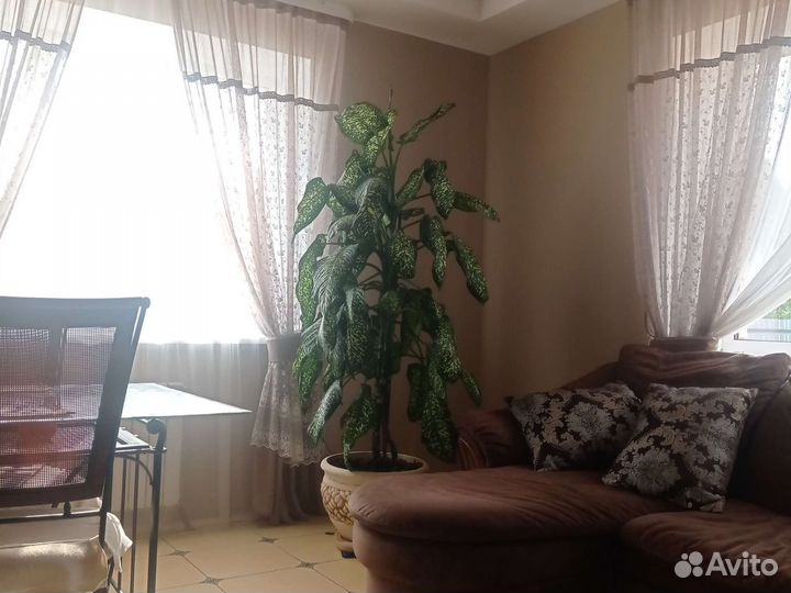 Диффенбахия