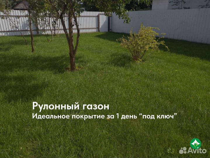 Рулонный газон Автополив