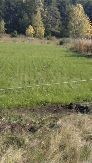 Участок 12,7 сот. (СНТ, ДНП)