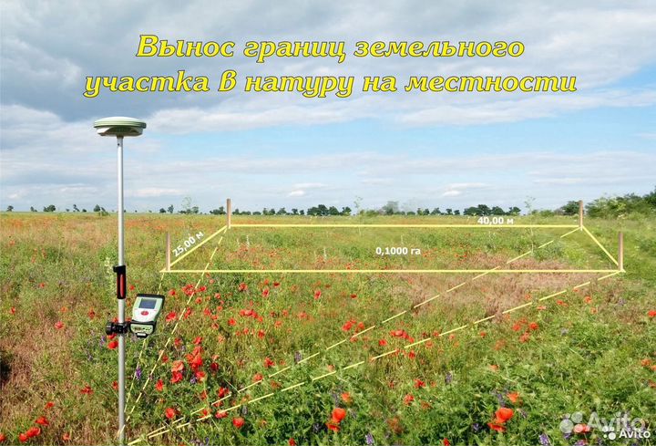 Вынос границ земельного участка