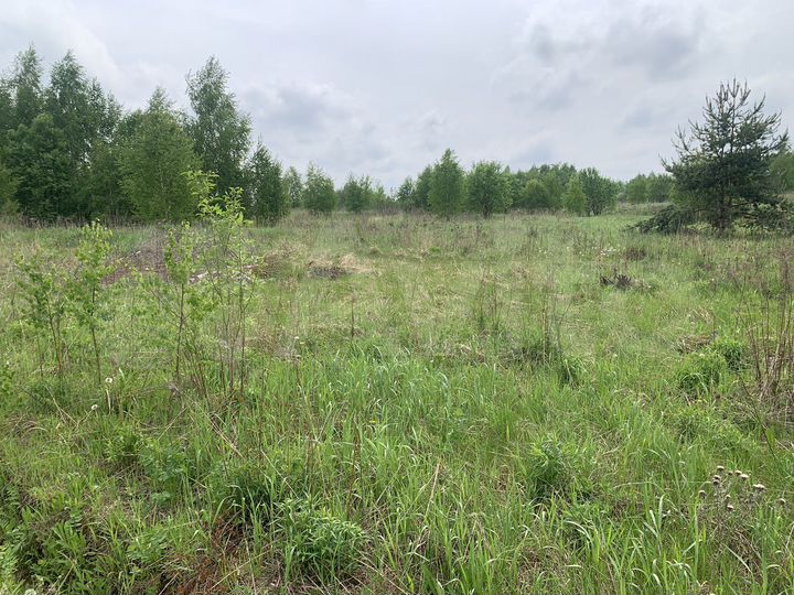 Участок 22,3 га (ИЖС)