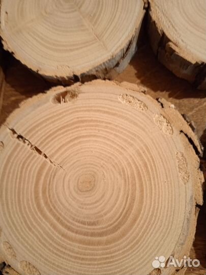 Пано из дуба