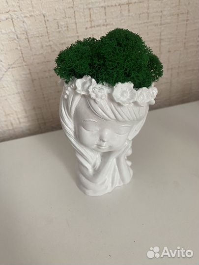 Стабилизированый мох в кашпо, гипсовые фигуры