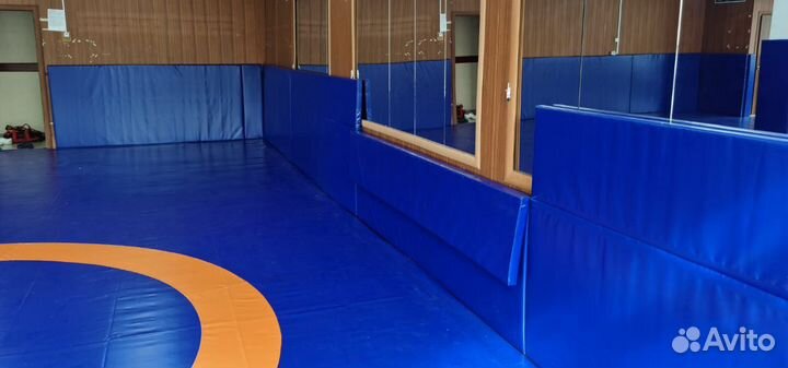 Стеновые протекторы для спортзала синие