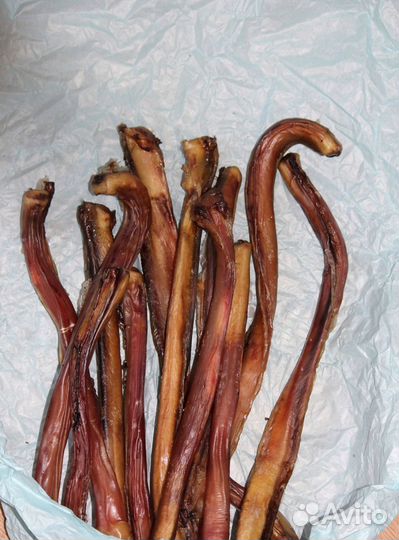 Бычий корень для собак