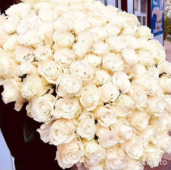 Высокие розы Гигантские Розы 150 160 170 180 190см