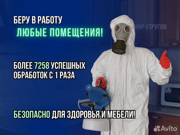 Уничтожение тараканов, травля клопов с гарантией