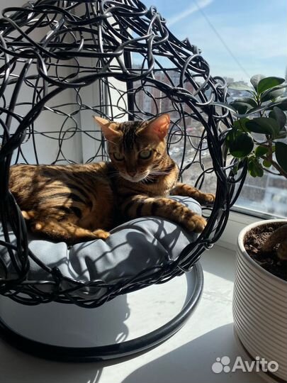 Домик для кошек и собак.Кокон подвесной