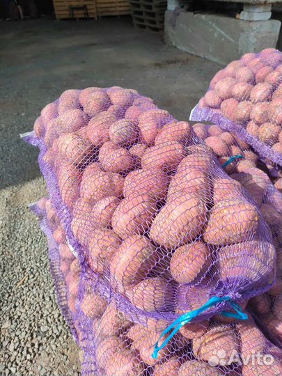 Картофель фермерский