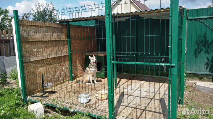 Вольер для собак из 3д сетки