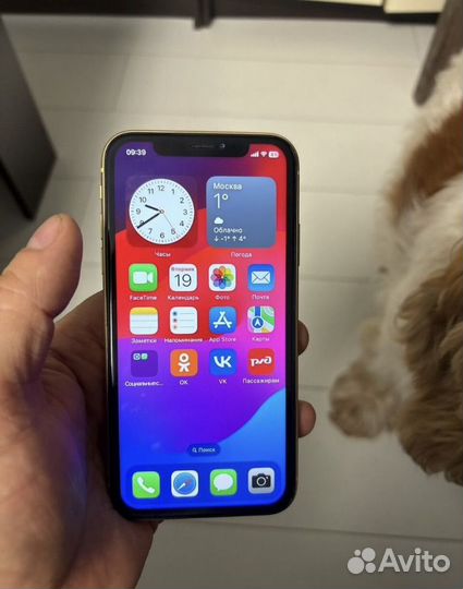 iPhone Xr, 64 ГБ