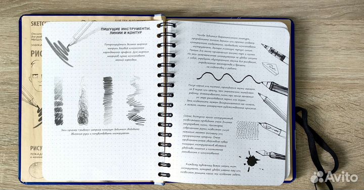 Sketchbook рисуем человека