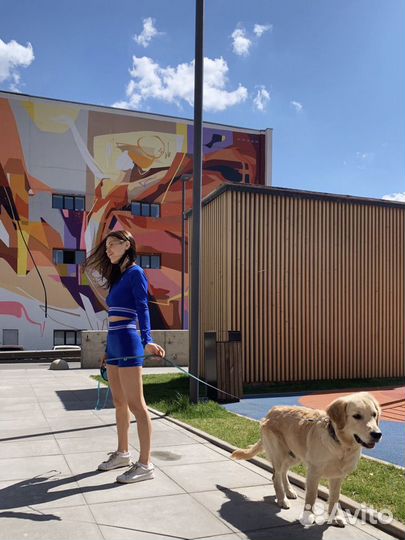 Передержка собак /догситтер