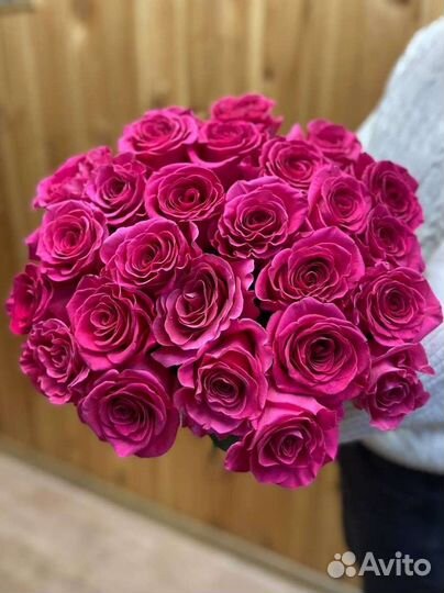 Цветы розы эквадор