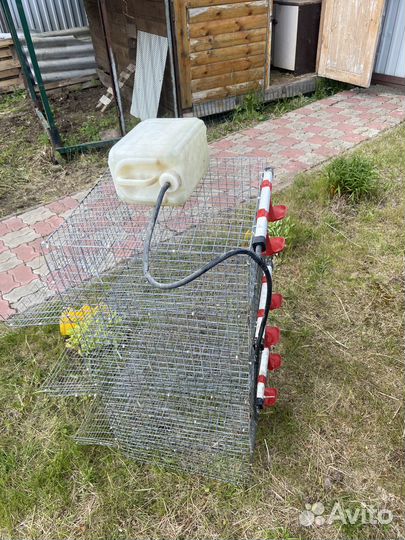 Клетки для кур