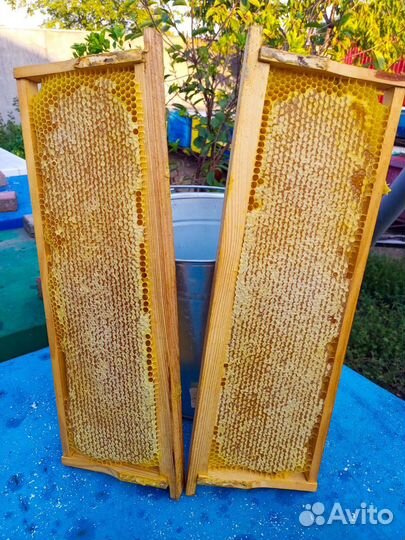 Сотовый мед