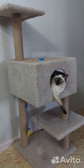 Дом для кошки с когтеточкой 120см