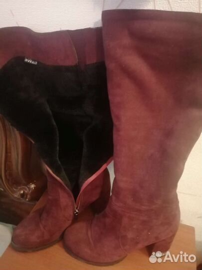 Сапоги женские