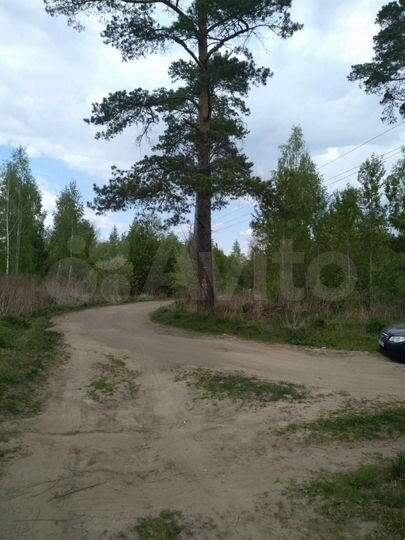 Участок 6 сот. (СНТ, ДНП)