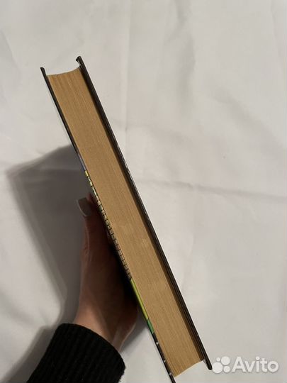 Книга тени убитых гангстеров