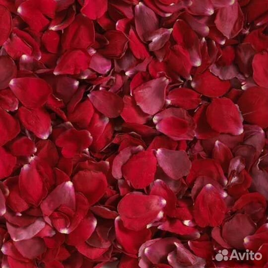 Лепестки роз
