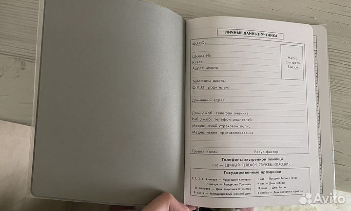 Дневник школьный