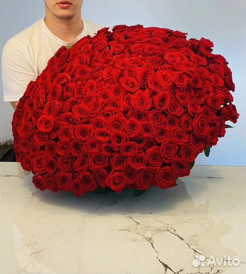 Красные розы. Букет роз. 101 роза 51 роза 35 роз