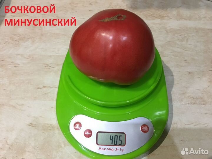 Семена сортовых томатов, семена помидор