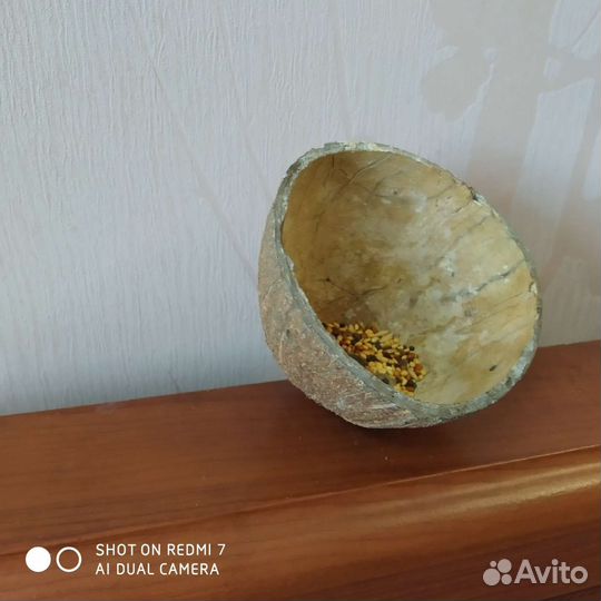 Новое Для Хомяка,домик,и птицы домашних питомцев