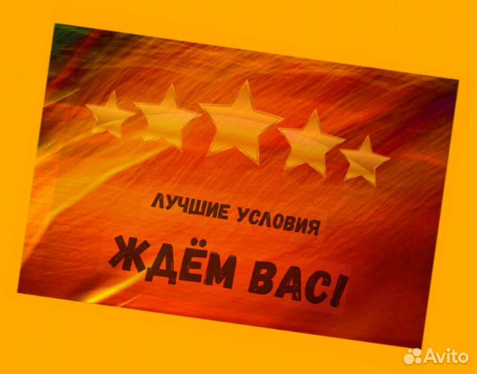 Сборщик Выплаты еженедельно Без опыта М/Ж