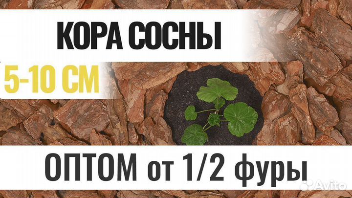 Мульча из коры сосновой крупная 5-10 см. Оптом