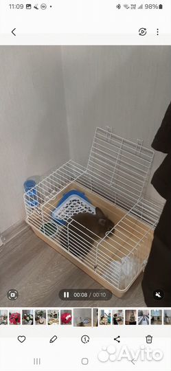 Клетка для грызунов