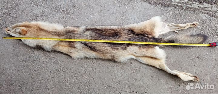 Шкура волка выделанная