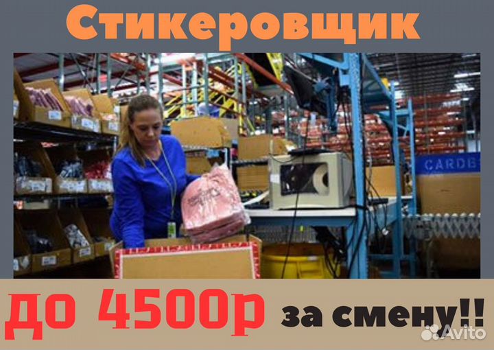 Стикеровщики одежды в Москву. Вахта с проездом