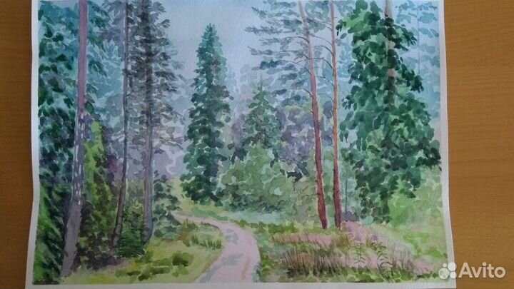 Картина акварелью В хвойном лесу