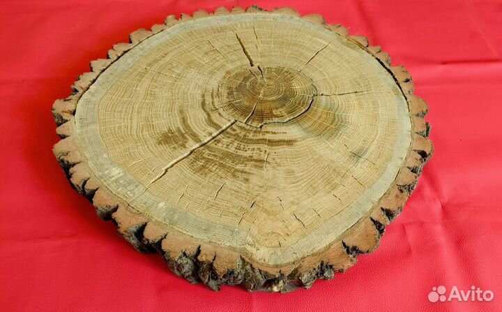 Спилы срезы дуба и берёзы
