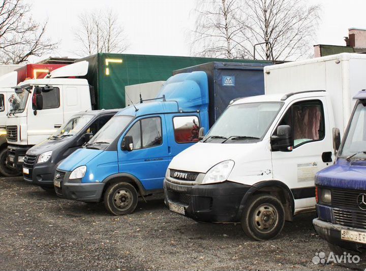 Междугородние переезды попутно от 300 кг