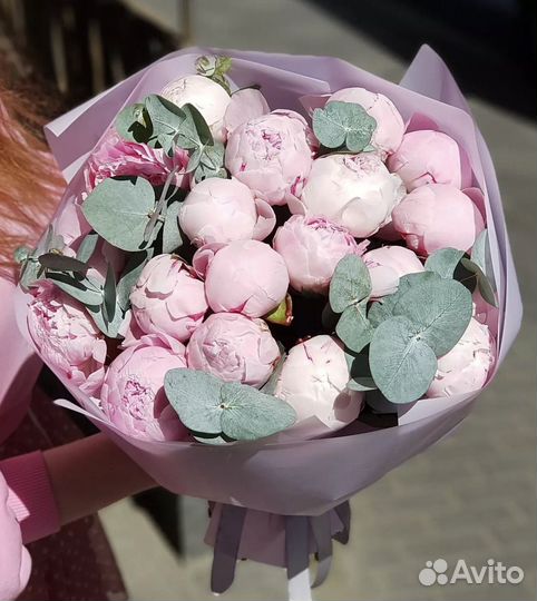 Пионы розовые Premium