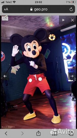 Ростовые костюмы напрокат