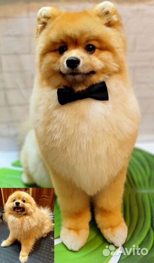 Груминг стрижка собак