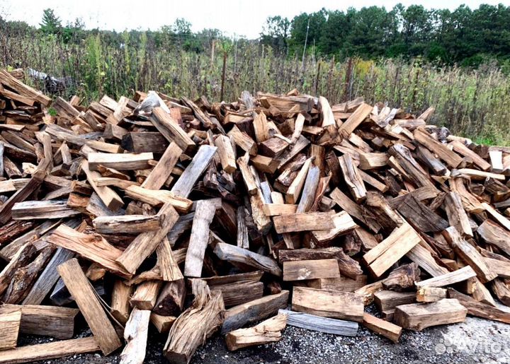 Кора березы