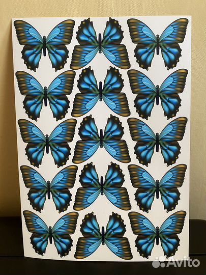 Набор бабочек для букета