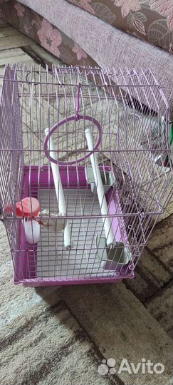 Клетка для птиц бу
