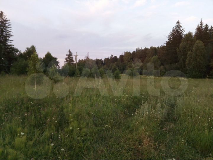 Участок 50 сот. (ИЖС)